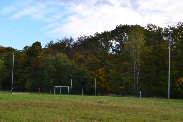 Sportanlage Alter Bierweg B-Platz - Wolfsburg