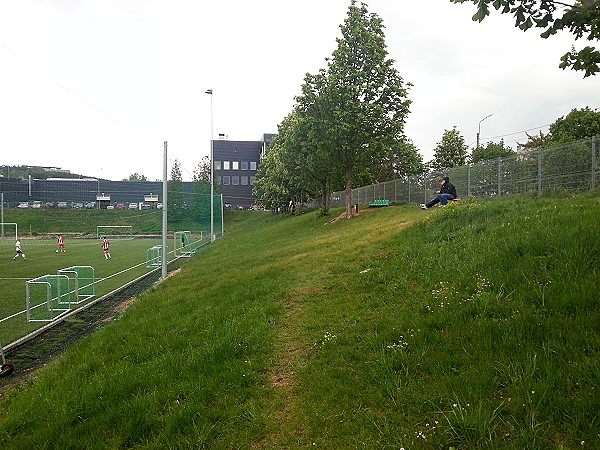Fanų Stadionas - Vilnius