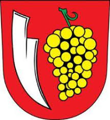 Wappen TJ Sokol Perná