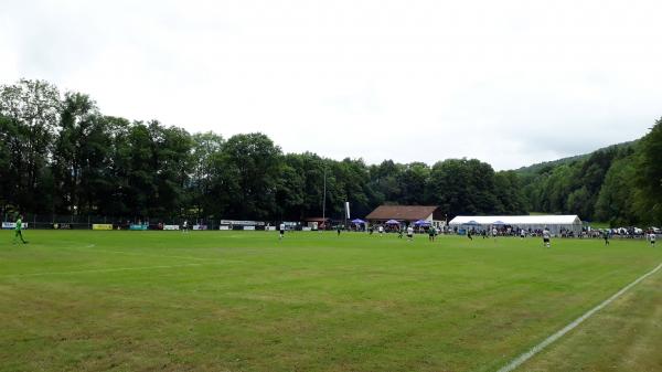 Sportplatz Seiferts - Ehrenberg/Rhön-Seiferts