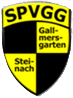 Wappen SpVgg. Gallmersgarten-Steinach 1970 diverse