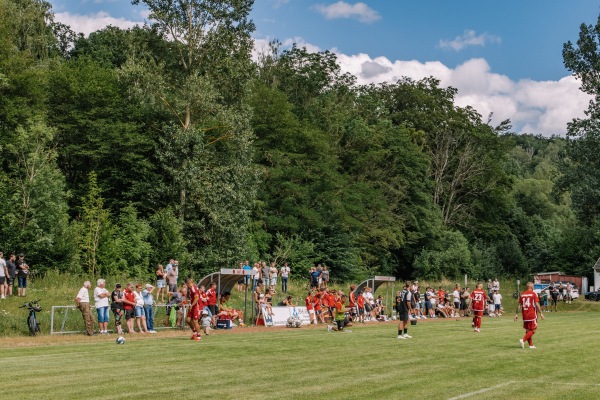 Sportplatz Reichenbacher Straße - Reichenbach/Vogtland-Mylau