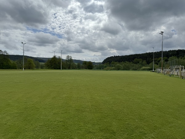 Sportanlage Neudorfer Straße Platz 2 - Luhe-Wildenau