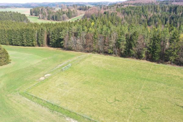 Sportplatz auf der Eichhalde - Burladingen-Hörschwag