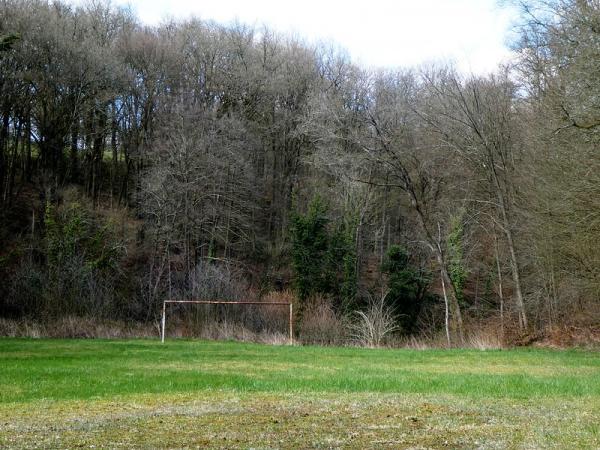 Sportplatz Scheidthecke - Ruppichteroth-Schönenberg