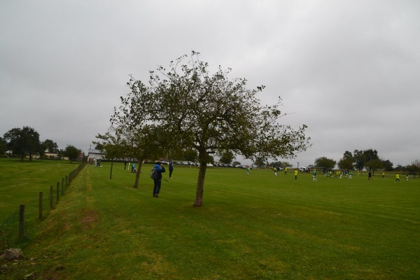 Sportplatz Pickließem - Pickließem