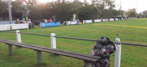 Sophienpark-Stadion - Cadenberge