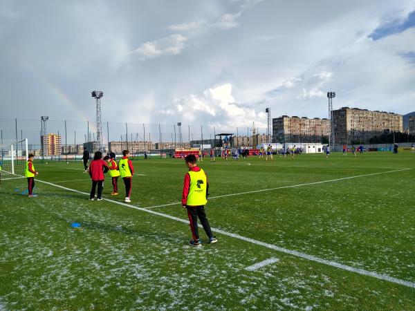 Erovnuli Nakrebis Teknikuri Tsentri - Rustavi