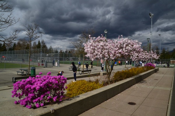 Burnaby Lake Sports Complex West field 3 - Burnaby, BC