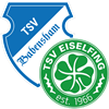 Wappen SG Babensham/Eiselfing - Frauen (Ground B)