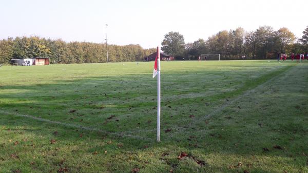 Sportanlage Schmiedestraße - Sahms