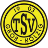 Wappen TSV 1903 Groß Kölzig diverse