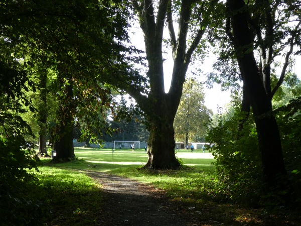 Boisko w Damianowie - Damianowo