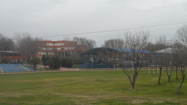 Campo Colegio Internacional Nuevo Centro - Madrid, MD