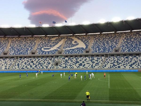 Boris Paichadze Dinamo Arena - Tbilisi