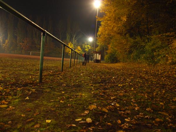 Sportanlage Everstalstraße Platz 2 - Bochum-Langendreer