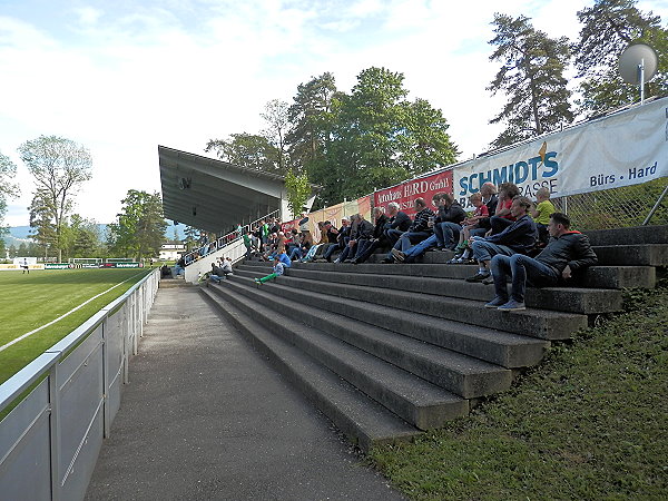 Waldstadion Hard - Hard