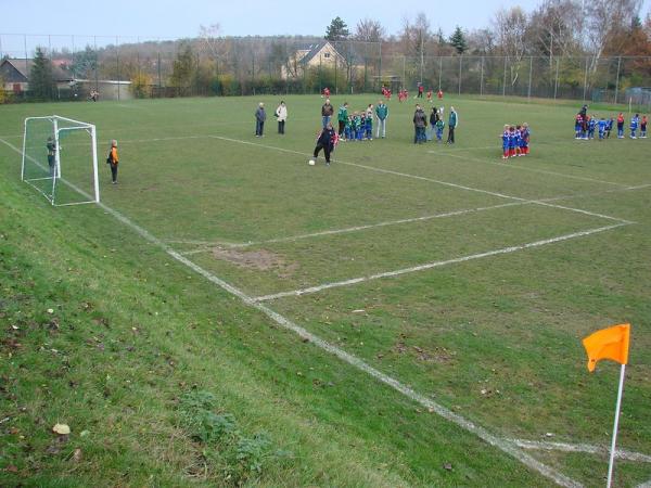 HWG-Stadion am Zoo Nebenplatz 3 - Halle/Saale