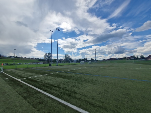 Sportplatz Beichlen Platz 2 - Wädenswil