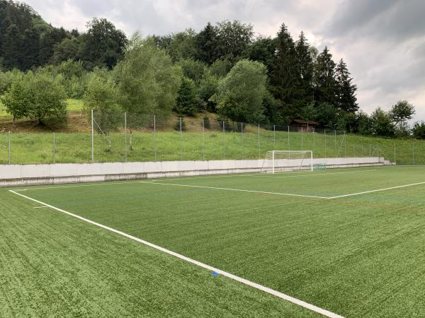 Sportplatz Löösch Platz 2 - Adligenswil