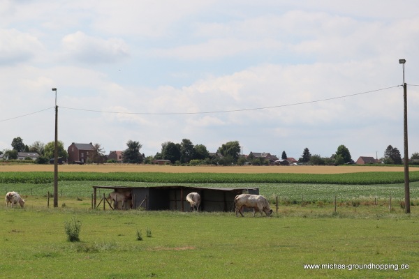 Terrain Rue du Maréchal - Amay-Jehay