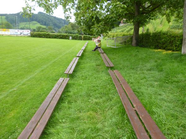 Eichbergstadion - Glottertal 