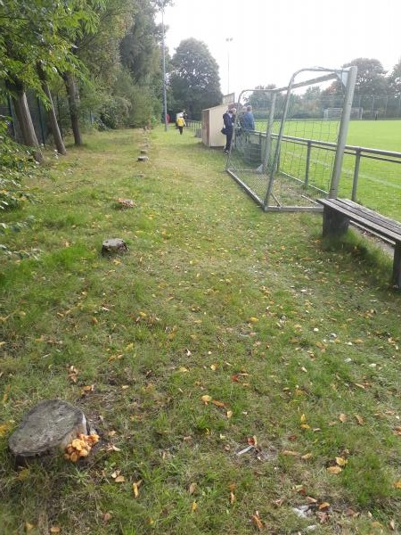 Sportanlage Ramskamp - Elmshorn