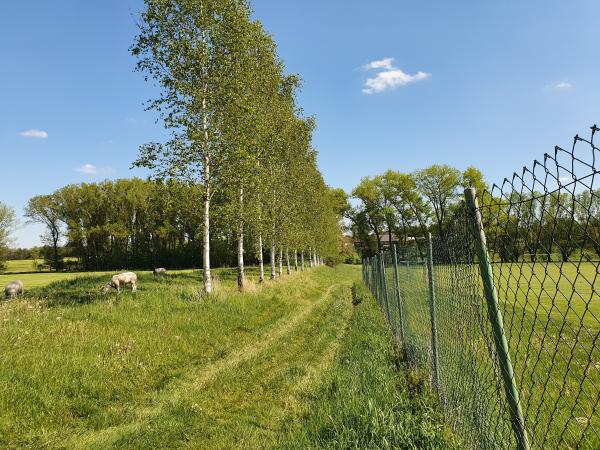 Sportplatz Wiesenaue - Wilsdruff-Limbach