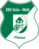 Wappen SSV Grün-Weiß Plessa 1976 diverse  67270
