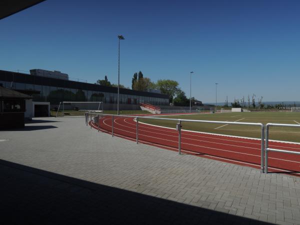 Sportplatz Taunusblick-Schule - Hofheim/Taunus-Wallau