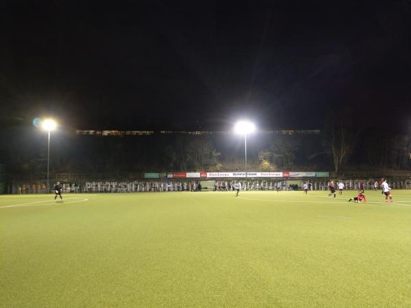 Olympiastadion im Gleisdreieck - Köln-Nippes