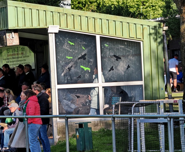 Vennestadion - Borken/Westfalen-Burlo