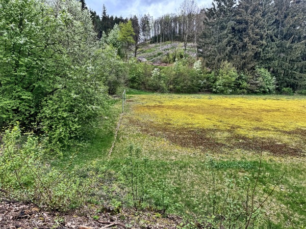 Sportplatz Eichhagen - Olpe-Eichhagen
