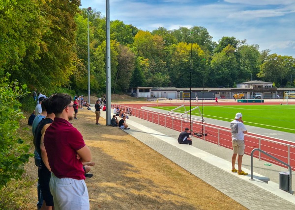 Stadion Bezirkssportanlage Schmitzers Wiese - Koblenz