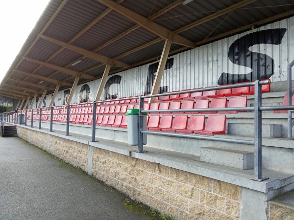Campo de Fútbol Covadonga - Gijón (Xixón), AS