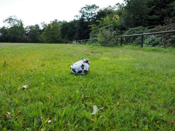 Sportplatz Westheide - Castrop-Rauxel-Dingen