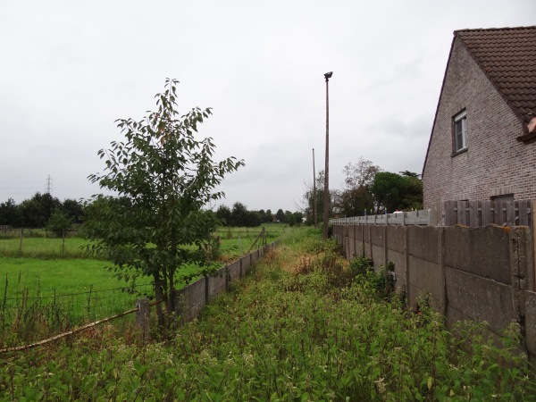 Terrein Verbroederingstraat - Leuven-Wilsele