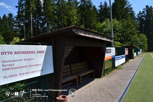 Schmucker Sportfeld - Grasellenbach-Hammelbach