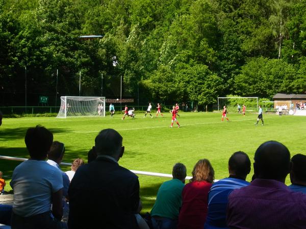 Waldstadion - Thalheim/Erzgebirge