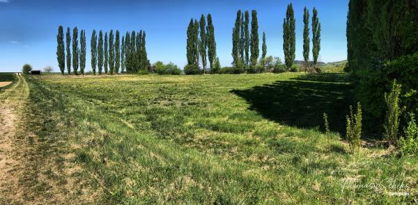 Sportplatz Thanheim - Bisingen-Thanheim