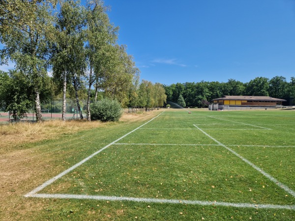 Centre Sportif Intercommunal des Evaux terrain 5 - Onex