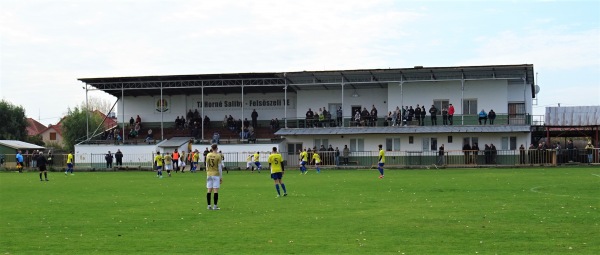 Futbalový štadión TJ Horné Saliby - Horné Saliby