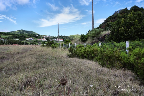 Campo de Futebol do Altamora - Altamora, Ilha da Picos, Açores