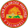 Wappen Y Felinheli FC