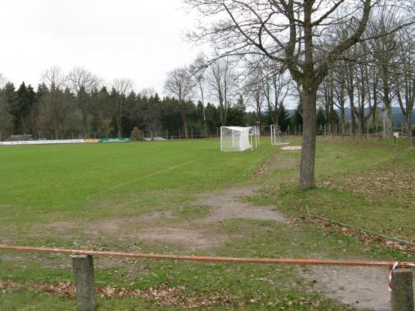 Tierbergsportplatz - Lauscha