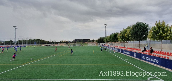 Ciudad Deportiva Wanda Campo 4 - Alcalá de Henares, MD