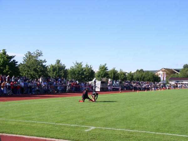 Emil-Schindler-Stadion - Teningen