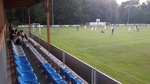 Waldstadion Großsteinbach - Groß Steinbach