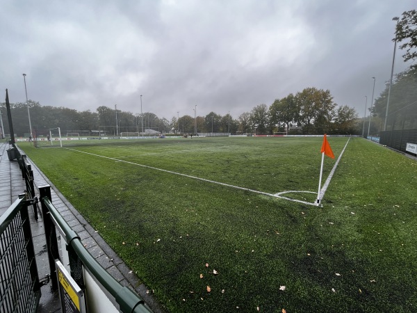 Sportpark De Voordam veld 3 - Hellendoorn