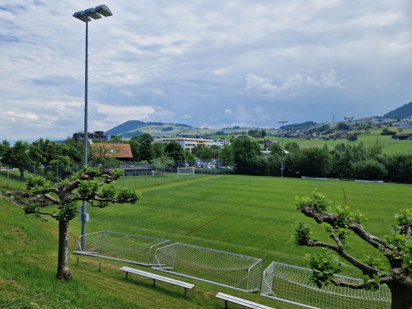 Sportplatz Erlenmoos Platz 2 - Wollerau